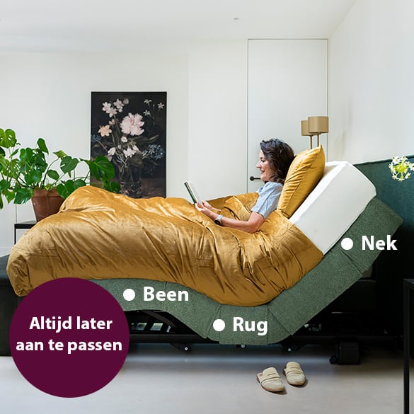 Zeer brede collectie sb sb